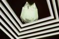 Cascading ceiling chandelier in a hotel lobby, view from below, creating almost abstract effect. Royalty Free Stock Photo